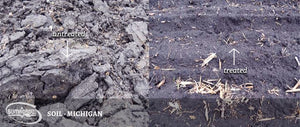 Understanding Basic Soil Physical Properties